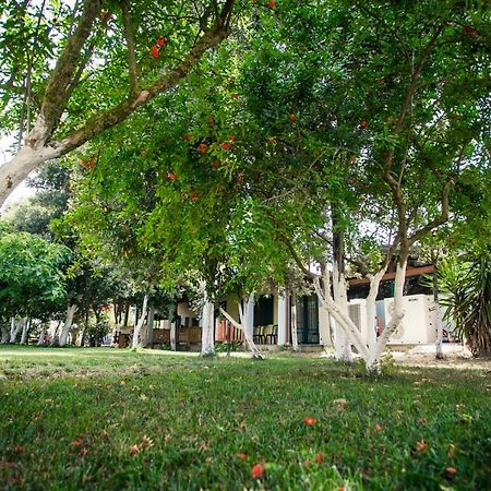 Agriturismo Archelao Oristano Luaran gambar