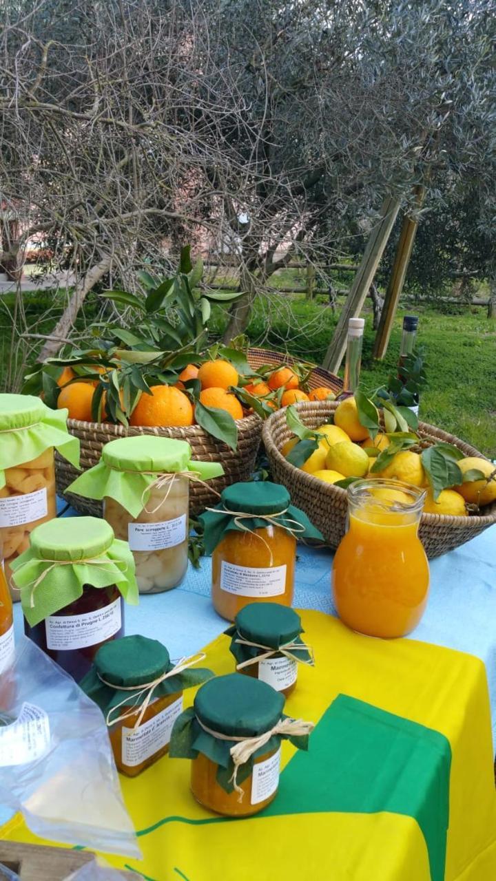 Agriturismo Archelao Oristano Luaran gambar